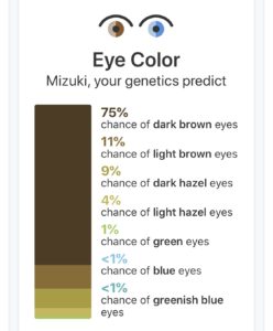 遺伝子検査の結果　目の色