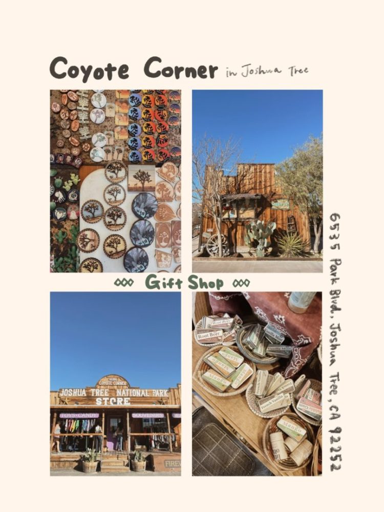 Coyote Corner