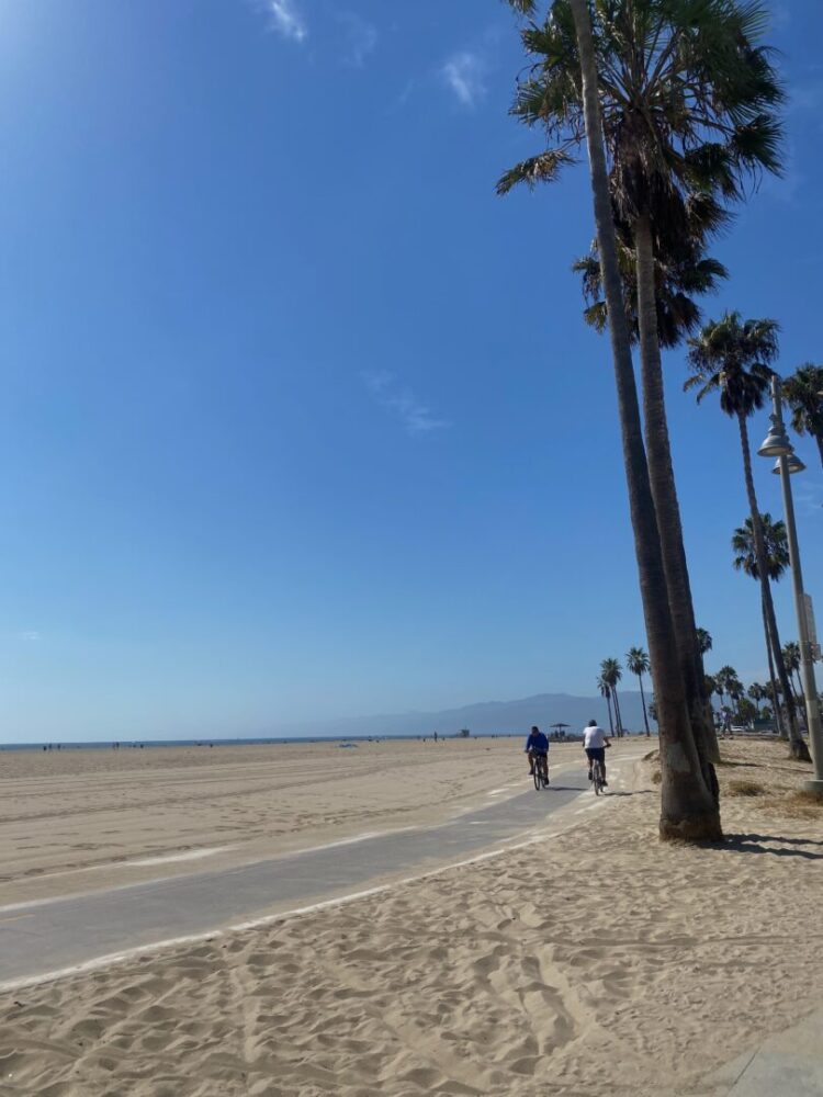 Venice beach