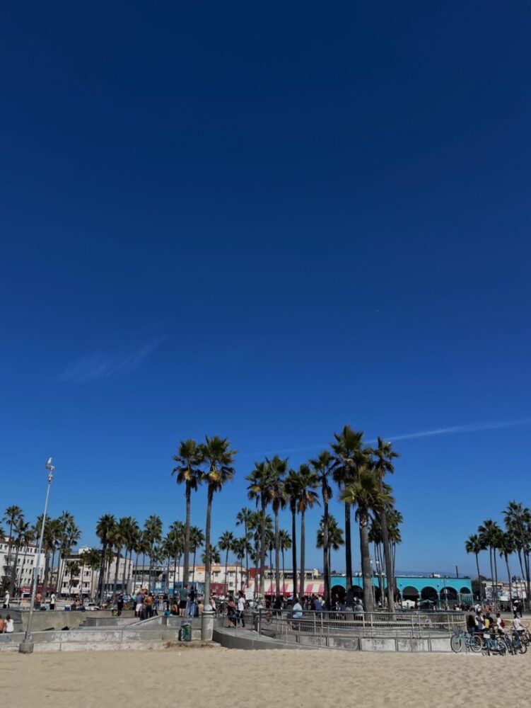 Venice beach