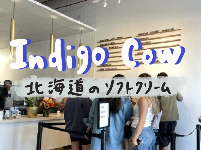 Indigo cow op